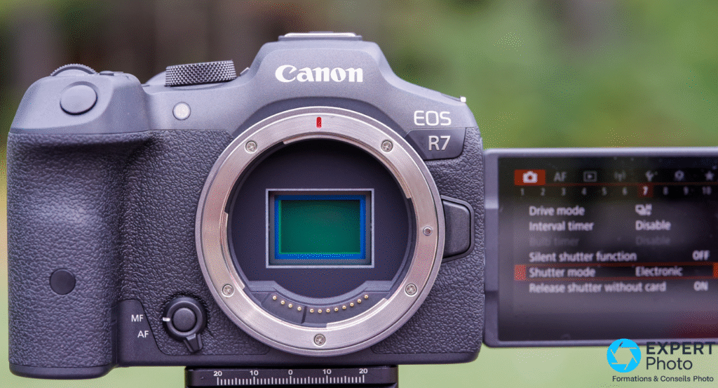 Canon EOS R7 avis