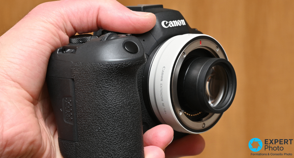 Canon Extender RF 1.4x conseils