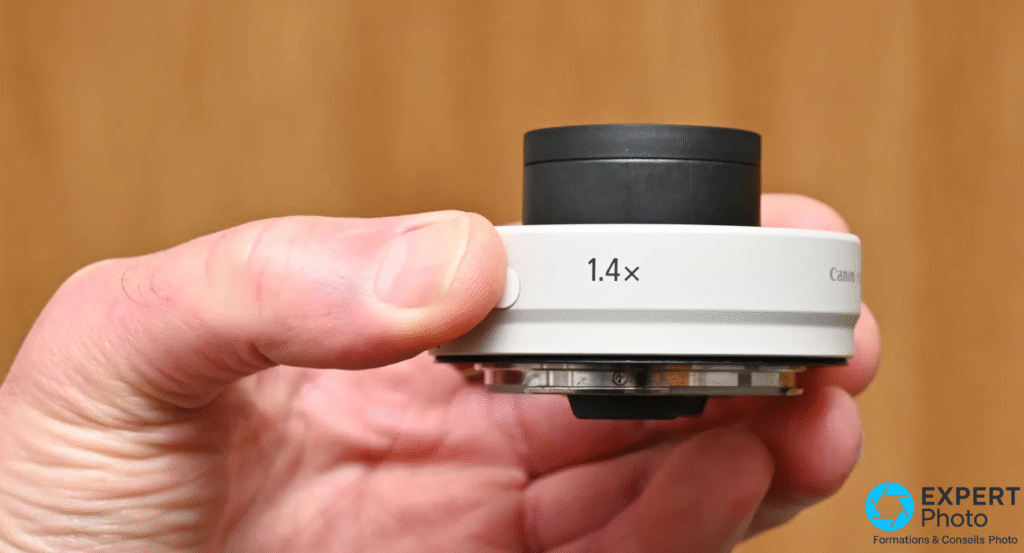 Canon Extender RF 1.4x avis et test