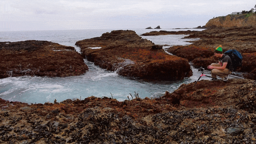 Trépied : stabilité réelle vs promesses marketing