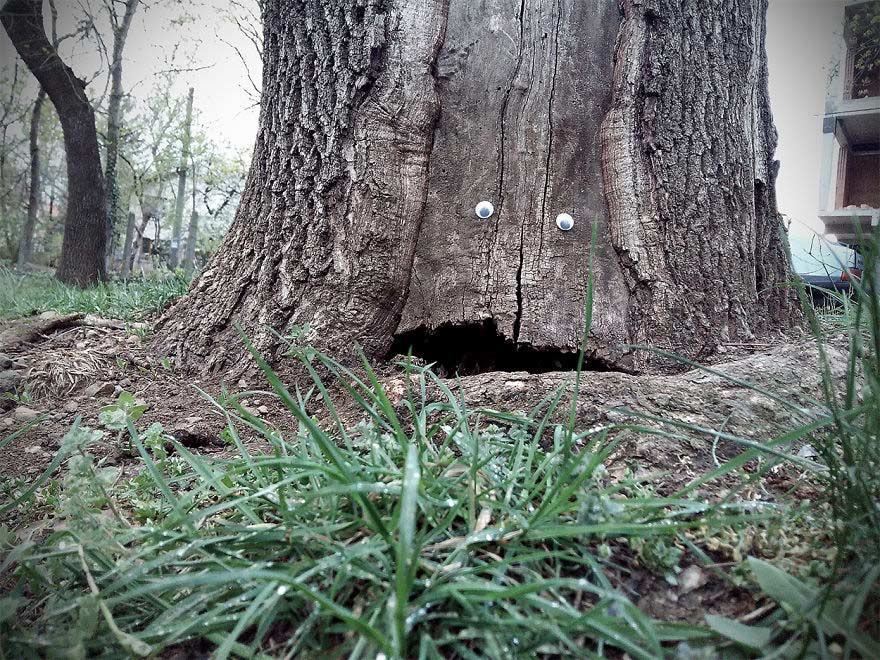 Vanyu Krastev, artiste bulgare d'Eyebombing arbre