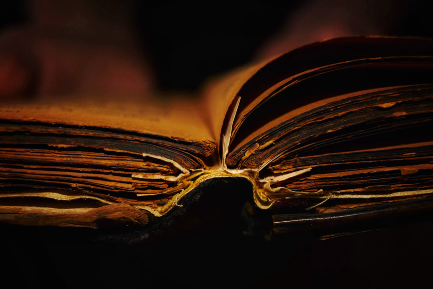 Lumière en macrophotographie