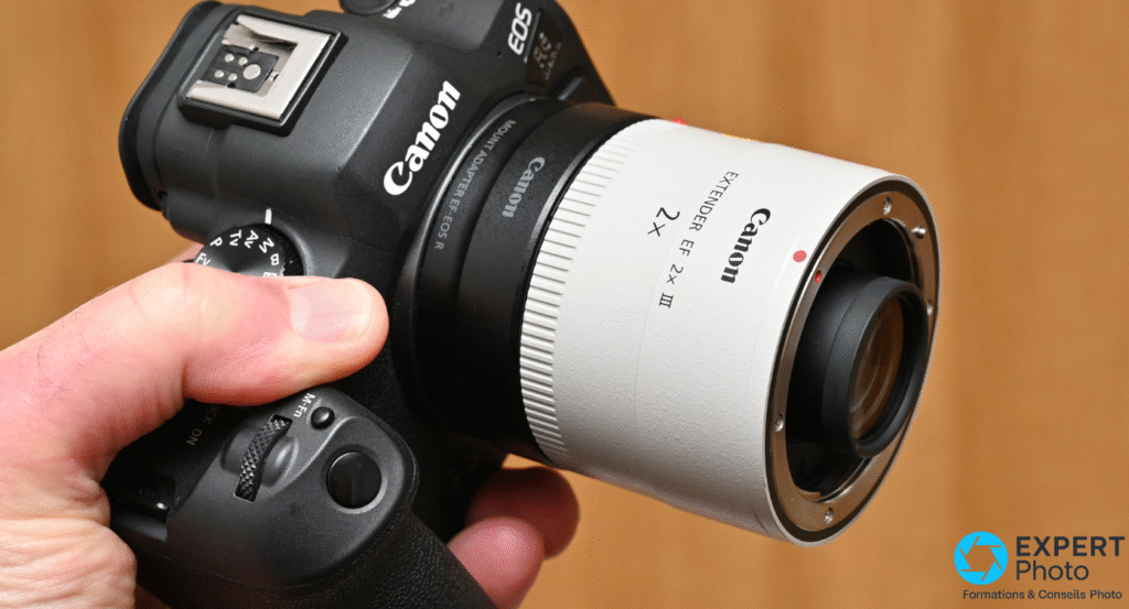 Canon EF 2x III objectif