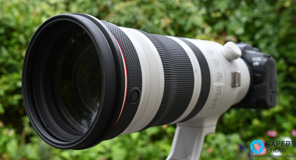 Canon RF 100-300mm f2.8L IS USM test terrain