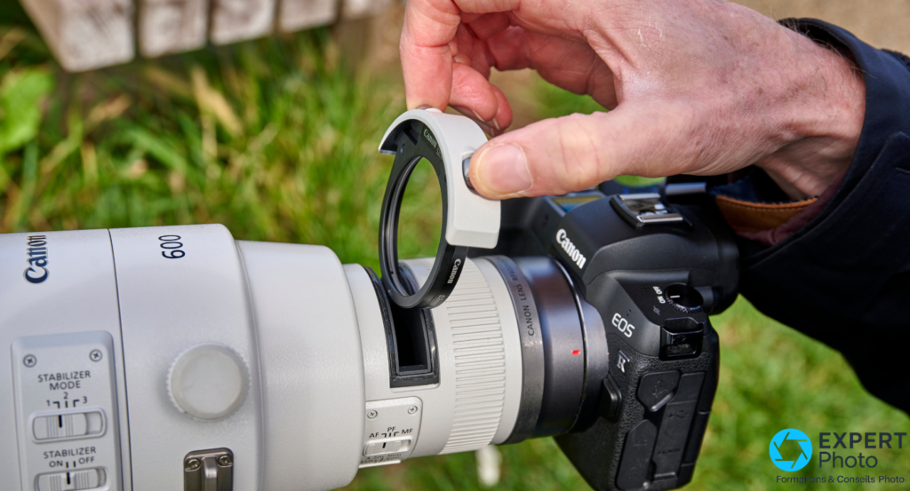 Canon RF 600mm f4 L IS USM test