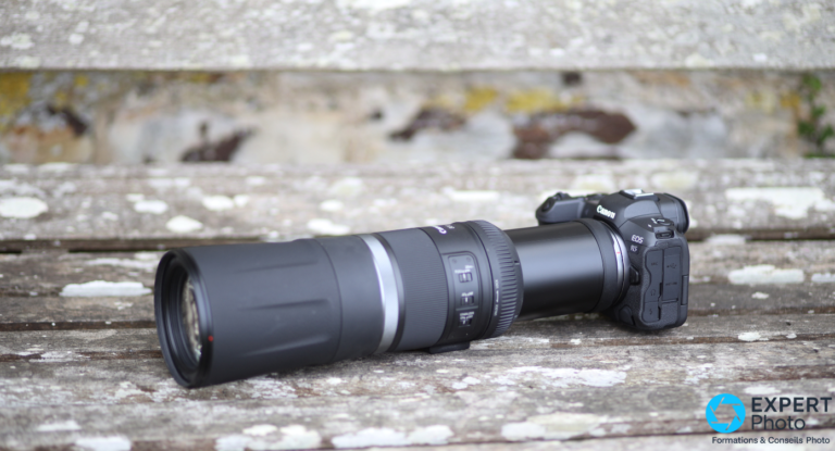 Canon RF 800mm f11 IS STM test