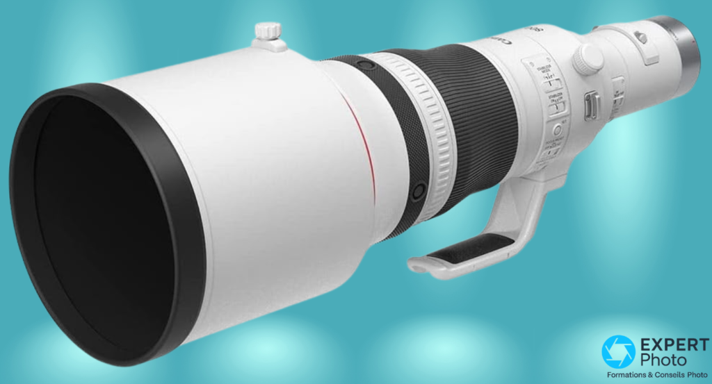 Canon RF 800mm f/5.6 L IS USM test