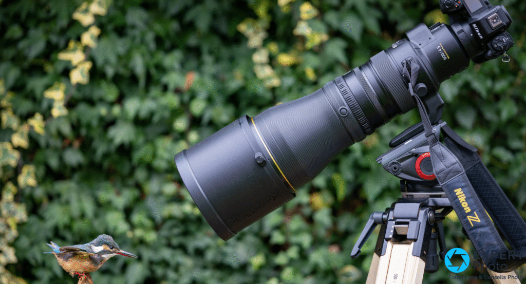 NIKKOR Z 600mm f/4 TC VR S avis
