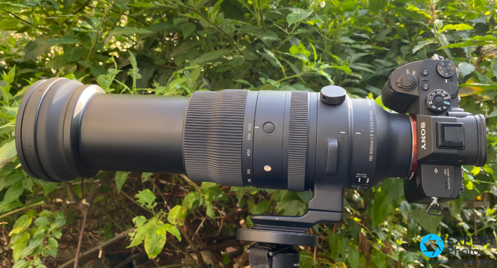 Sigma 150-600mm f/5-6.3 DG DN Sport test