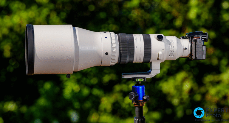 Sigma 300-600mm f/4 DG OS Sports test