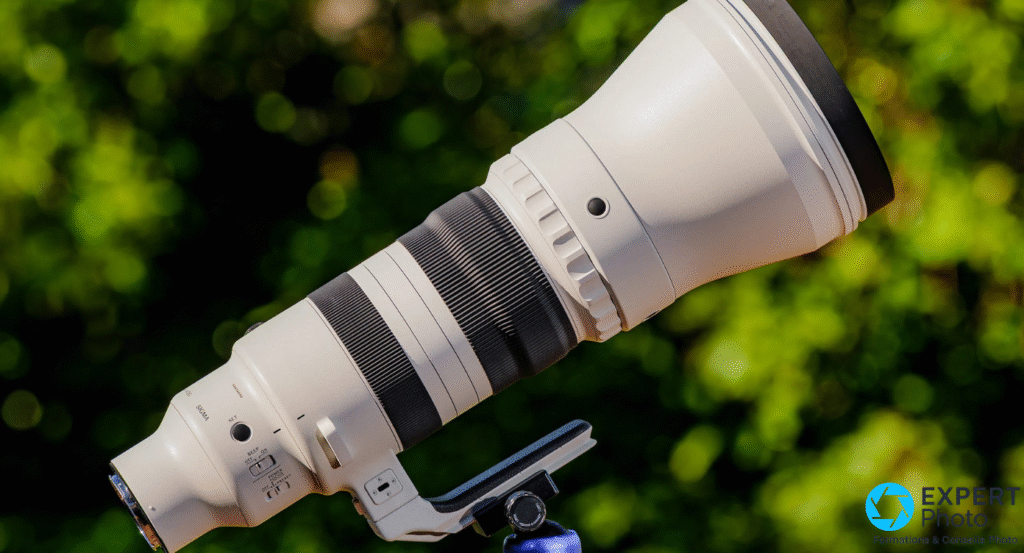 Sigma 300-600mm f/4 DG OS Sports