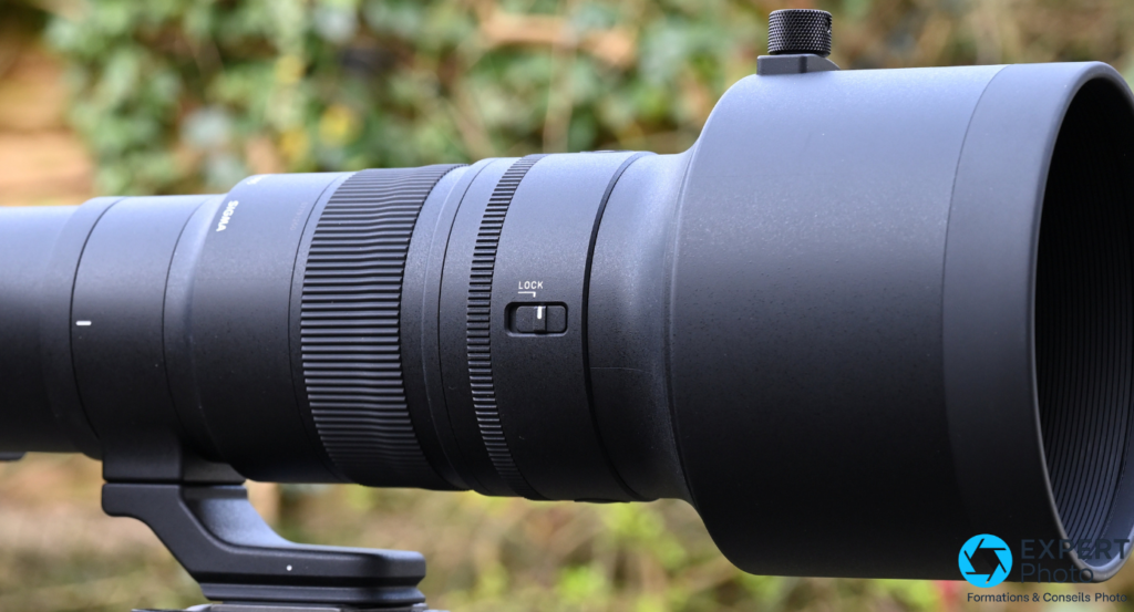 Sigma 500mm f/5.6 DG DN OS Sports test