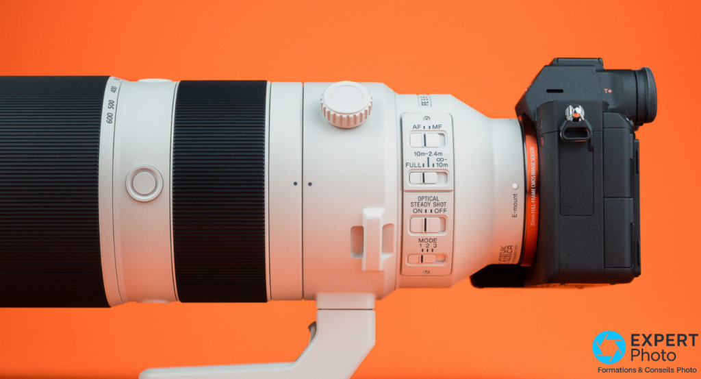 Sony FE 200-600 mm F5.6-6.3 G test