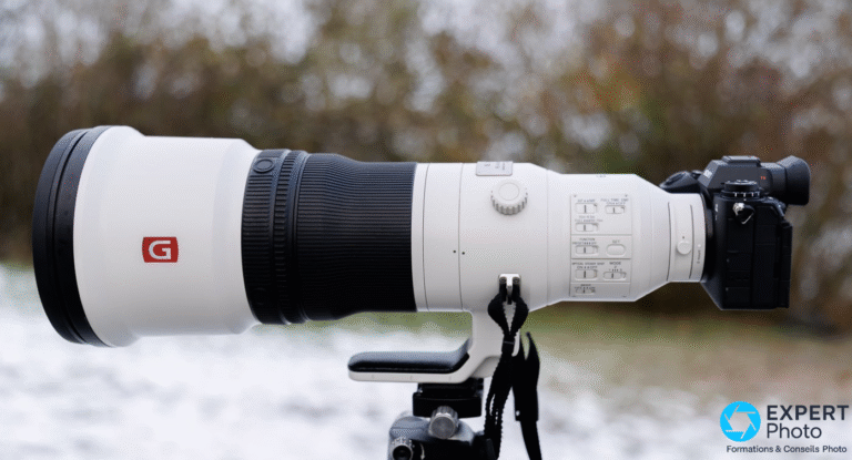 Sony FE 600 mm f/4 GM OSS test