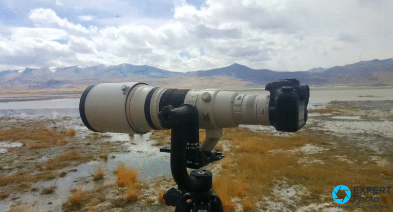 Wimberley WH-200 avis