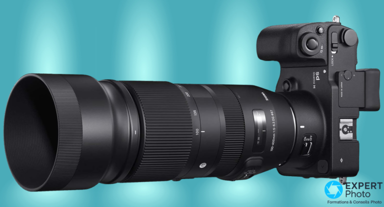 Test Sigma 100-400mm f/5-6.3 DG OS HSM : l’Arme Secrète des Photographes Animaliers ? Sigma 100-400mm f5-6.3 DG OS HSM avis