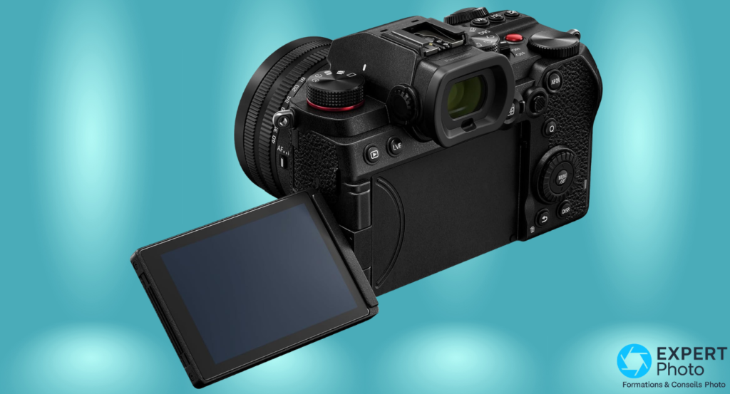 Panasonic Lumix S5D alternatives