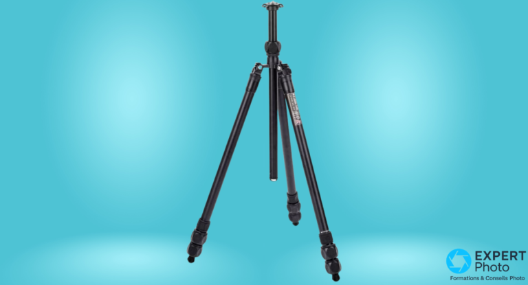 3 Legged Thing Charles 2.0 avis