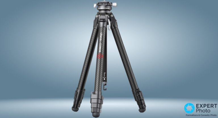 3 Legged Thing Punks Corey avis