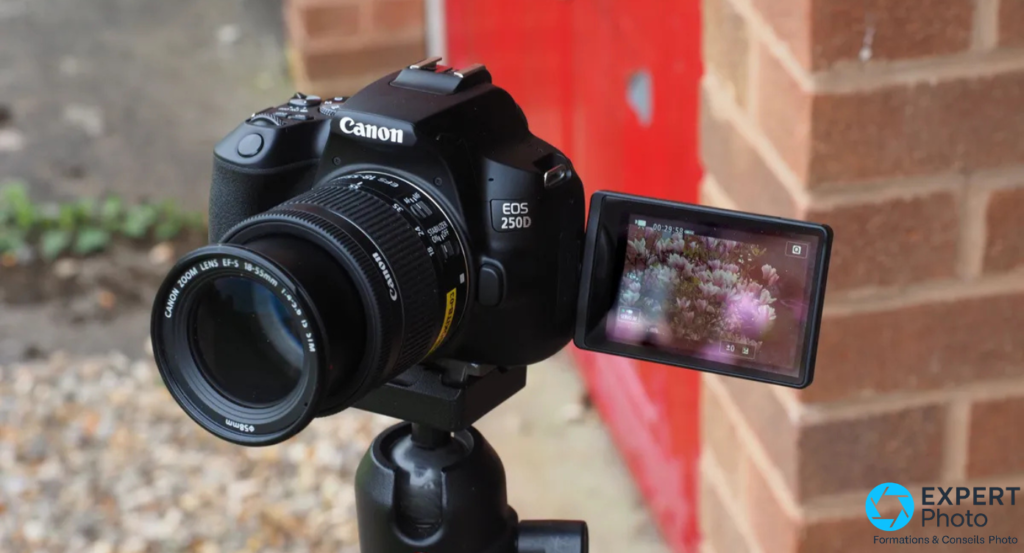 Canon EOS 250D image