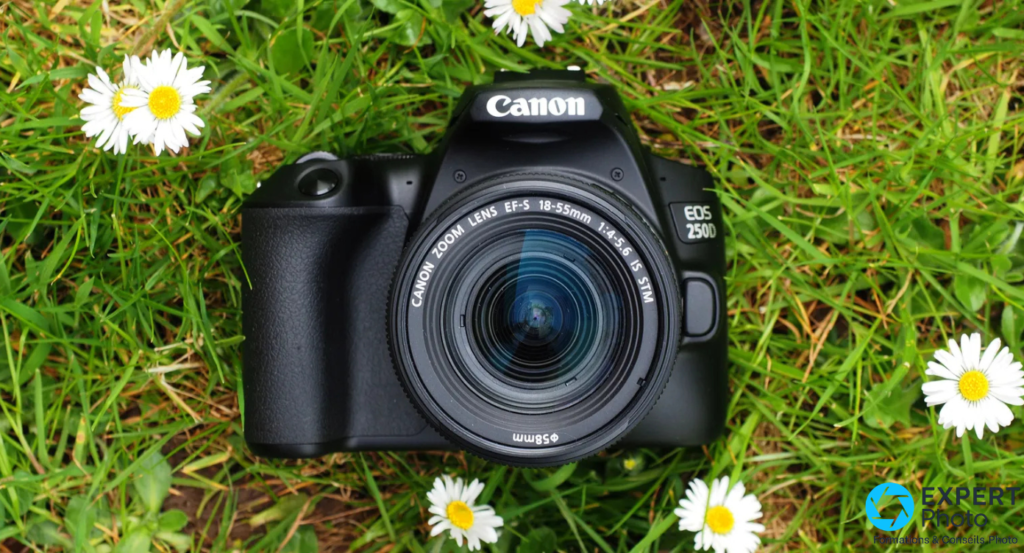 Canon EOS 250D avis