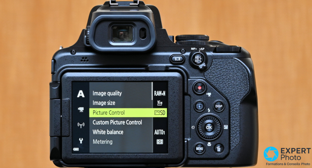 Nikon Coolpix P1100 image