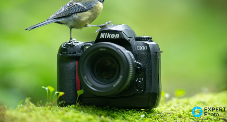 Nikon D100 avis