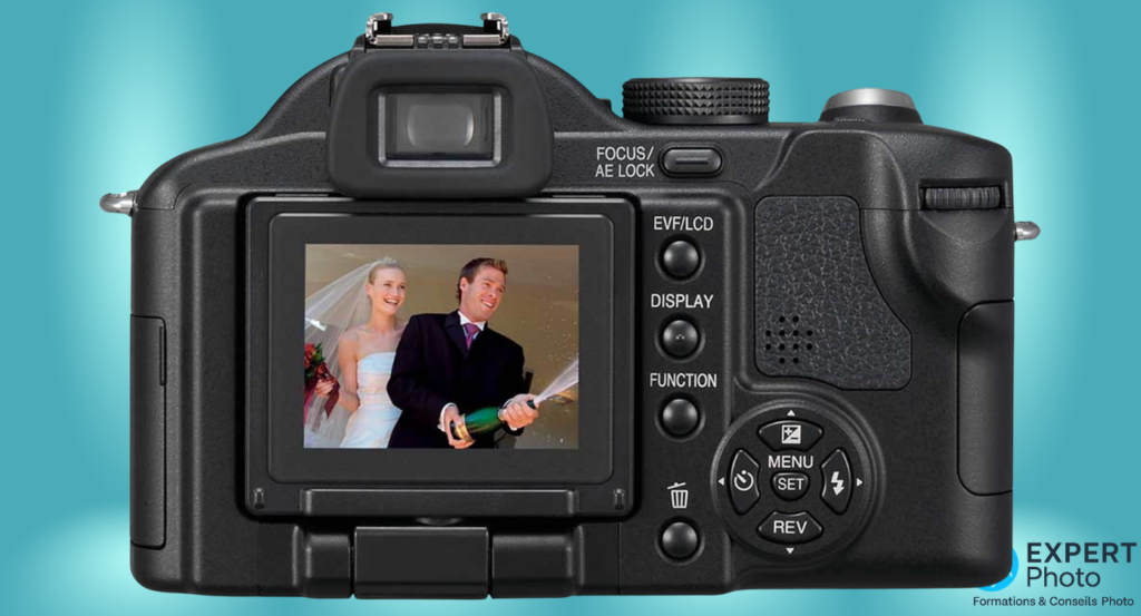 Panasonic Lumix DMC-FZ50 image