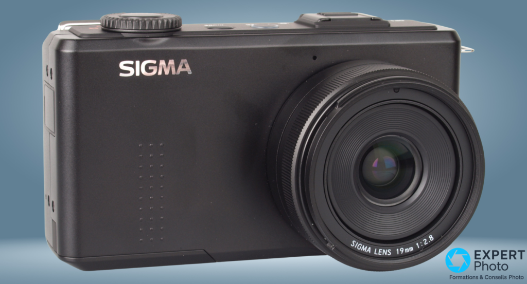 Sigma DP1 Merrill avis