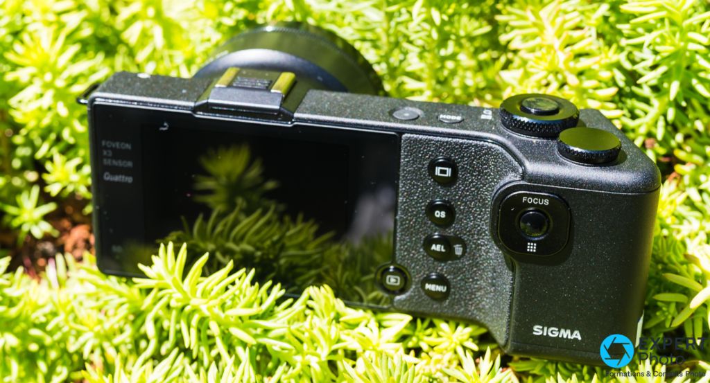 Sigma DP2 Quattro écran