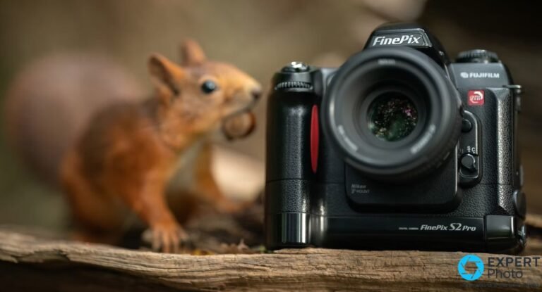 Fujifilm FinePix S2 Pro positionné sur surface en bois avec écureuil en arrière-plan flou