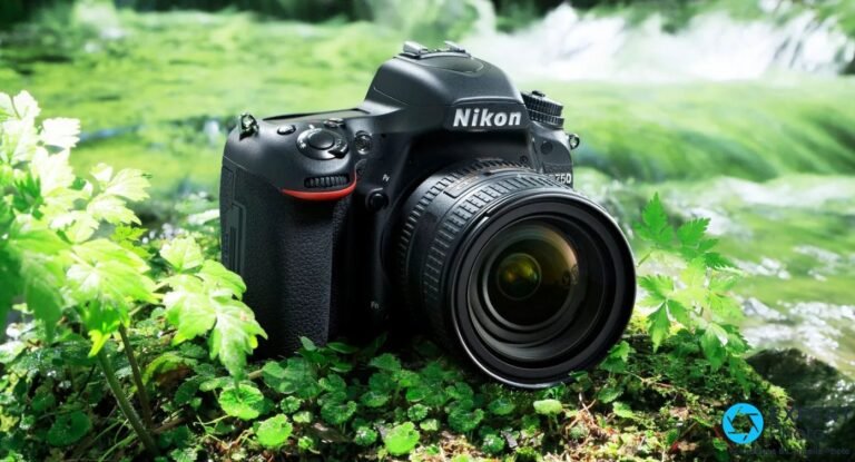 Nikon D750 de face-gauche avec objectif monté, posé sur mousse verte, cascade et végétation en arrière-plan