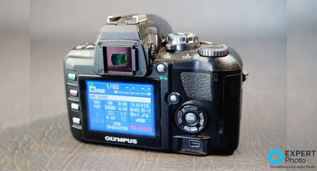 Vue arrière de l'Olympus E-400 avec écran de contrôle allumé affichant 1/60, ISO 100, S-AF, NO CARD et pavé directionnel.