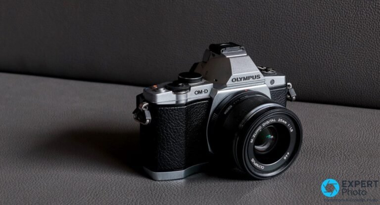Test Olympus OM-D E-M5 : vaut-il encore le coup en occasion ? Olympus OM-D E-M5 argent avec M.Zuiko 25 mm f/1.8 monté, vu de 3/4 avant, fond cuir gris foncé.