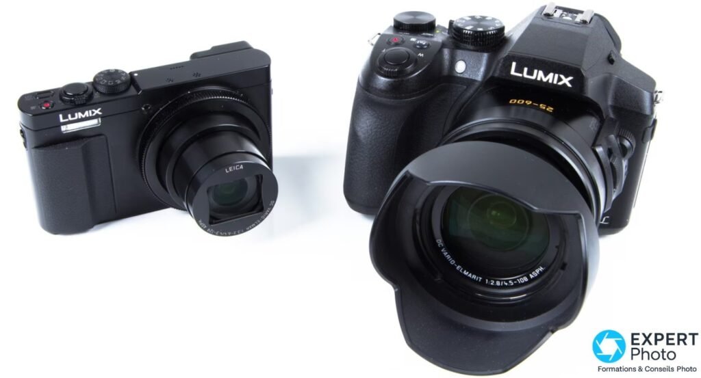 Panasonic Lumix FZ300 vu de dessus avec écran orientable déployé vers le bas montrant un moineau photographié 