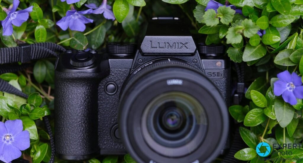  Panasonic Lumix S5 IIX de face parmi des pervenches violettes et du feuillage, zoom 20-60mm monté, sangle noire.