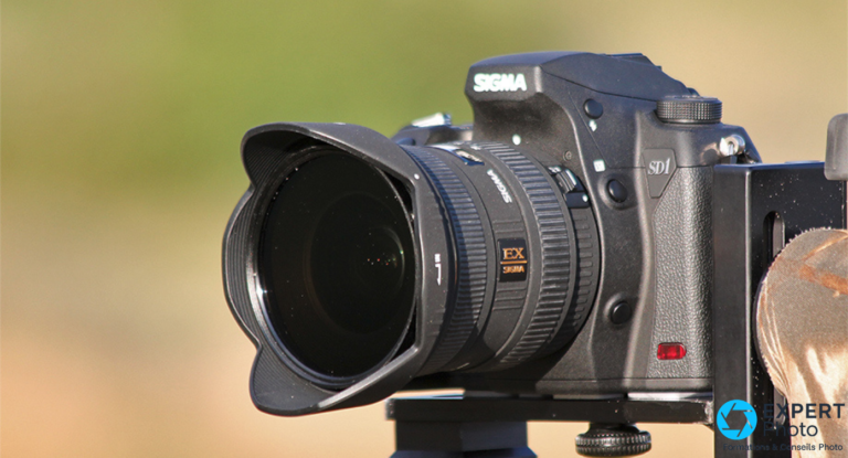 Sigma SD1 monté sur trépied en extérieur avec objectif Sigma EX grand-angle — usage paysage lumière naturelle