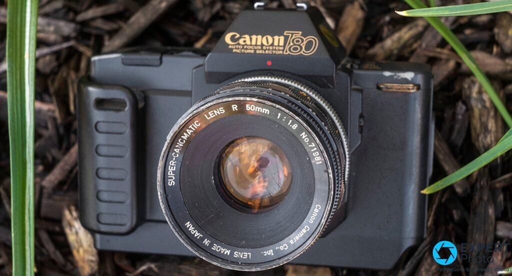 Canon T80 vu de face trois-quarts, équipé d'un objectif vintage 50 mm f/1.8 non-AC, posé sur paillis sombre.