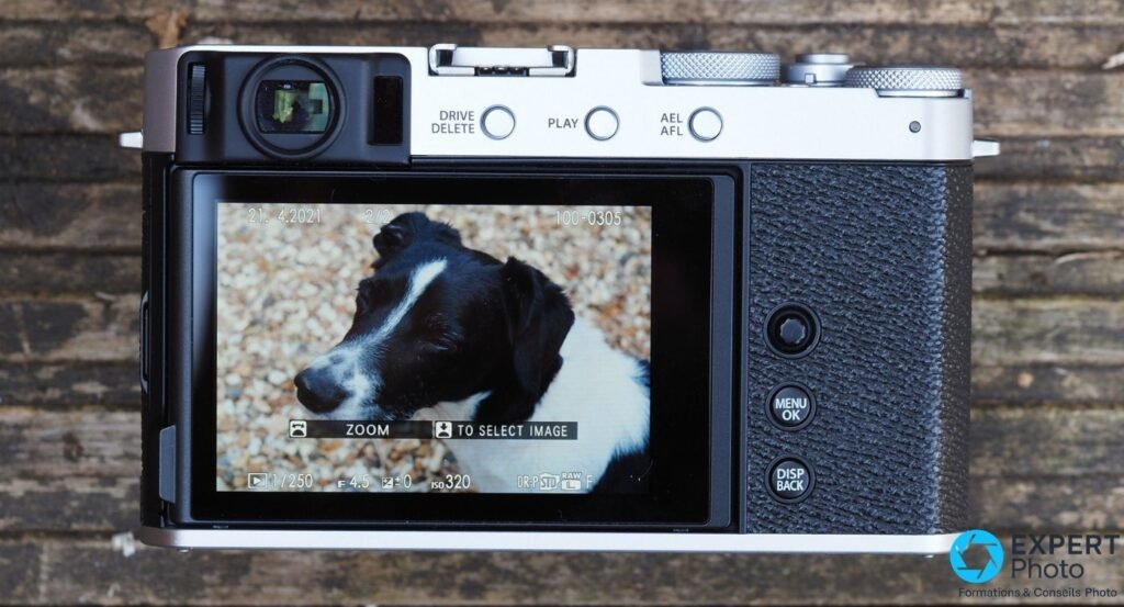 Fujifilm X-E4 vu de dessus, écran tactile incliné, live view de fleurs violettes en cours, posé sur sol rocheux.