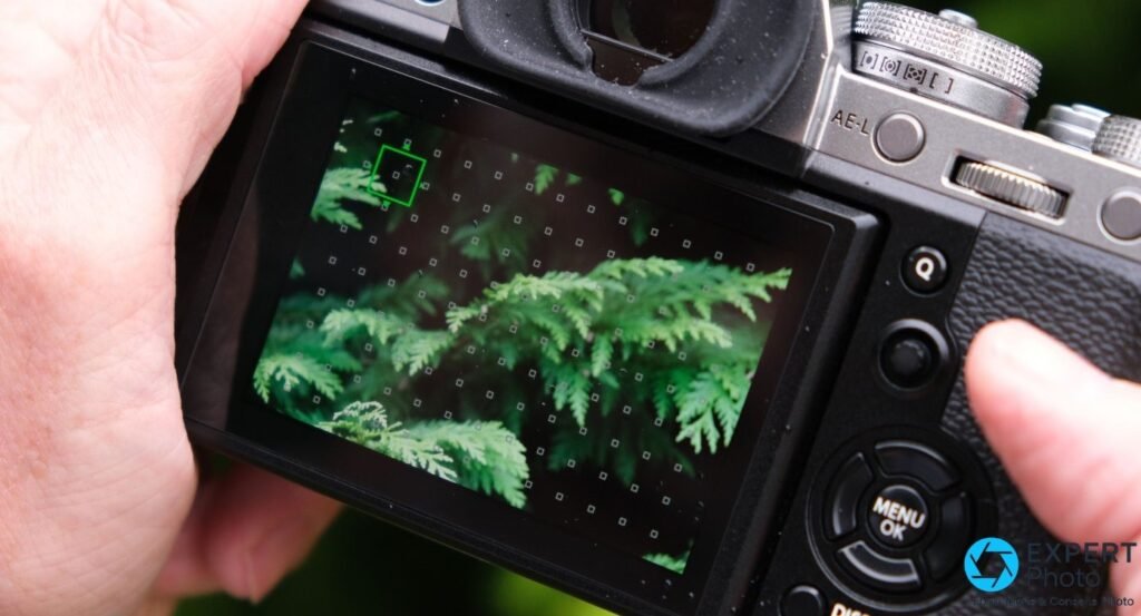 Écran arrière du Fujifilm X-T3 affichant la mire de points autofocus et un cadre AF vert sur du feuillage de conifère