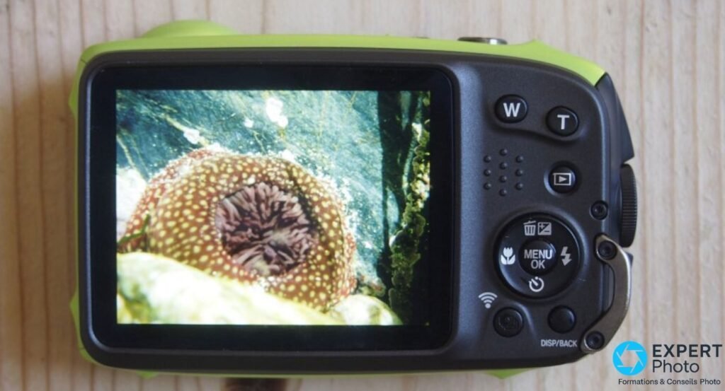 Fujifilm XP120 vue arrière, écran LCD allumé sur une photo subaquatique, boutons W/T et MENU visibles