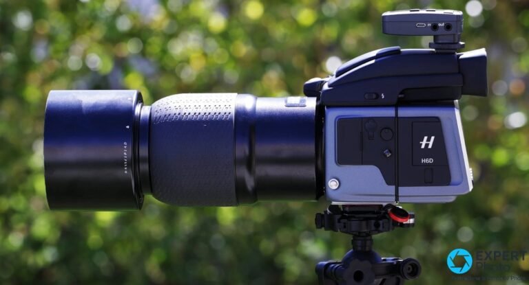 Hasselblad H6D-50c vu de gauche, long objectif noir avec pare-soleil, sur trepied, fond de feuillage vert flou