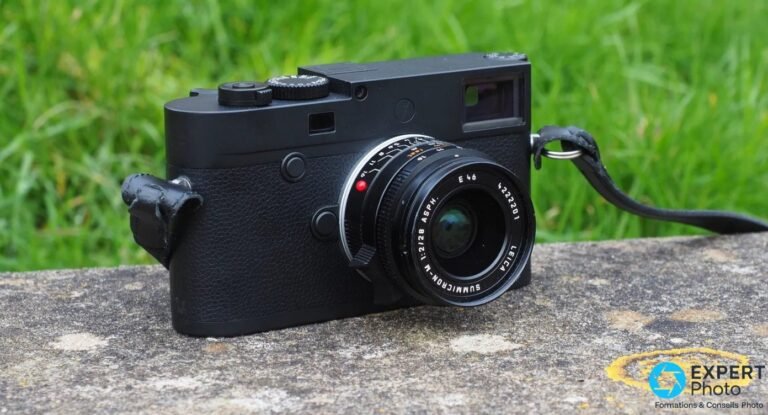 Leica M10 Monochrom noir avec Summicron-M 28mm f/2 ASPH posé sur pierre, fond herbe verte floue.