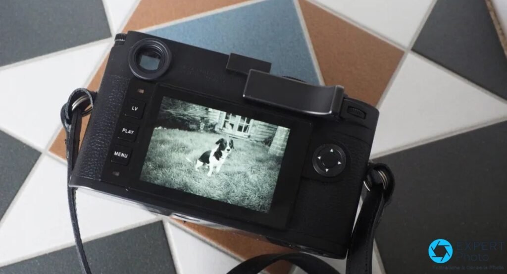 Vue dos du Leica M10 Monochrom, écran allumé affichant un cliché N&B, boutons LV PLAY MENU lisibles.