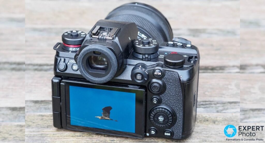 Panasonic Lumix S1 II dos, écran LCD articulé déployé affichant un oiseau en vol sur ciel bleu, boutons arrière visibles