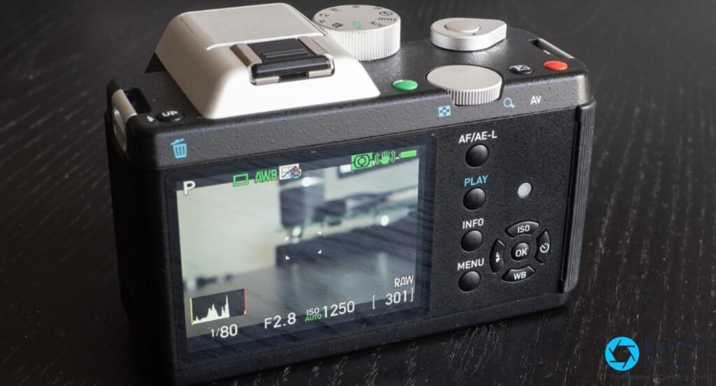 Pentax K-01 vue arrière, écran LCD actif avec affichage live view : F2.8, ISO Auto 1250, 1/80s, RAW, histogramme