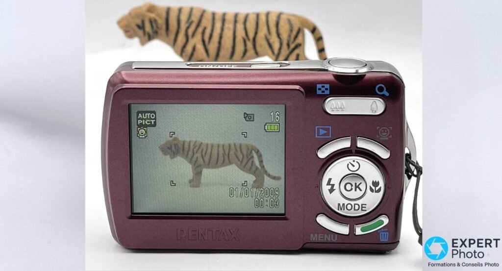 Pentax Optio E70 vu de dos, écran allumé affichant un tigre, date 01/01/2009 et icône batterie en bas. 