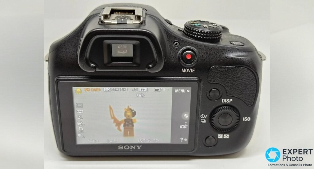 Sony Alpha 3000 en mode visée live view, écran LCD affichant les paramètres 1/80 F4.5 ISO AUTO, AF-S et batterie 19 %.