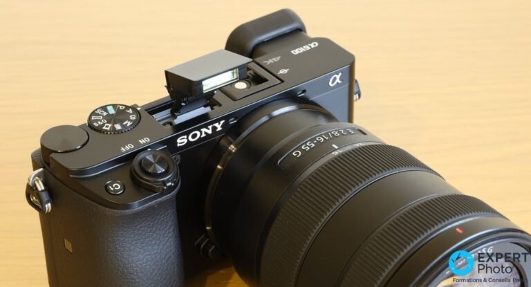 Sony Alpha 6100 vu de 3/4 avant en plongée, flash interne sorti, objectif Sony E 16-55 mm f/2,8 G avec pare-soleil.