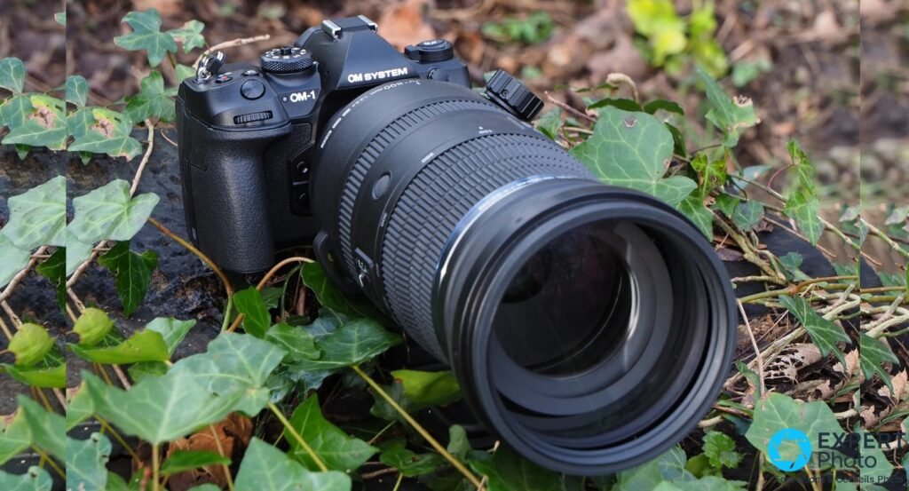 OM System OM-1 Mark II noir avec téléobjectif zoom long monté, posé dans du lierre vert en extérieur